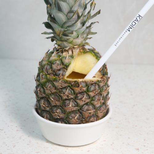 ANANAS SUYU