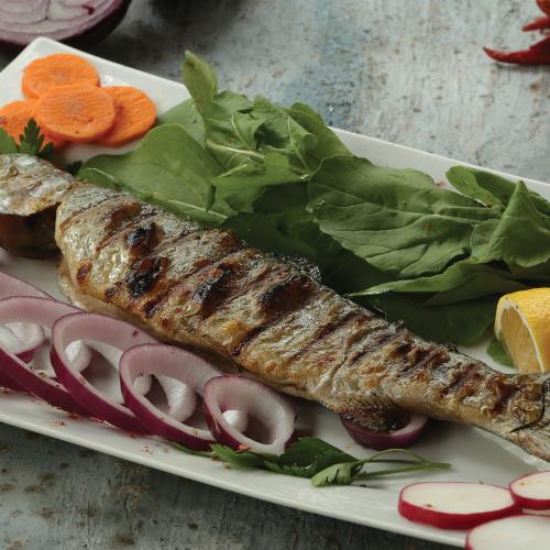 Grilled trout