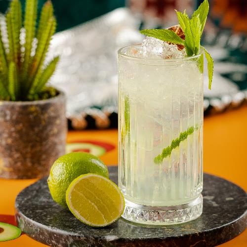 Paloma