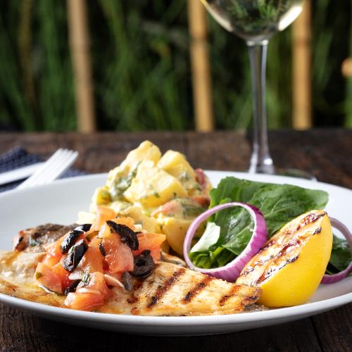 Grilled sea bass fillet