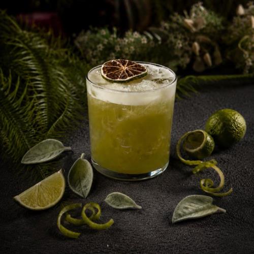 Sorrel Gin