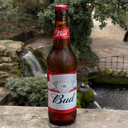 Bud 50 cl