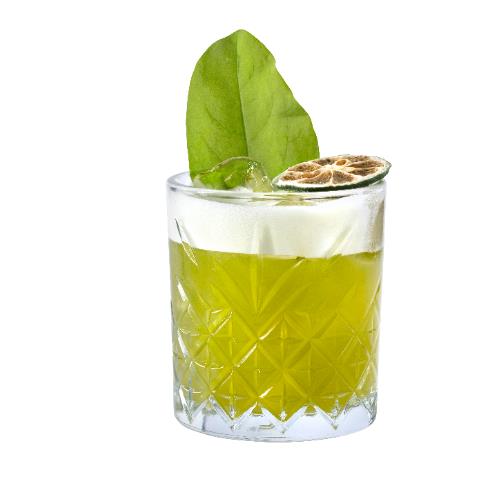 Zesty Sorrel