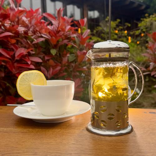 Lemon balm tea