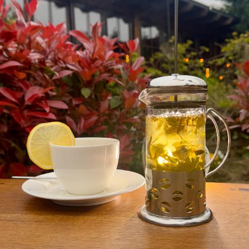 Lemon balm tea