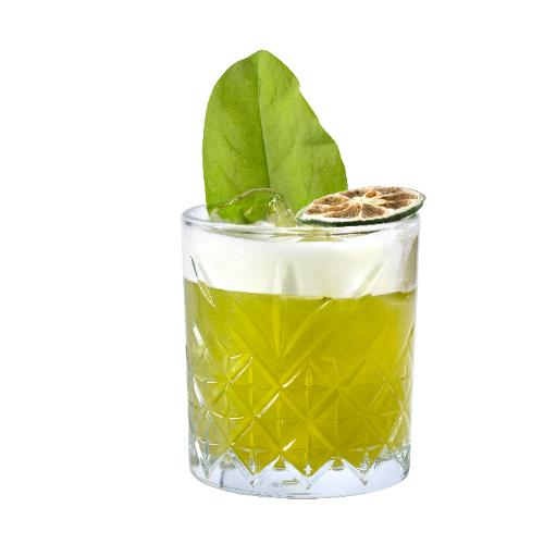 Zesty Sorrel