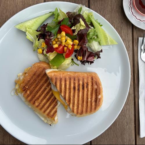 Three-Cheese Panini Toast